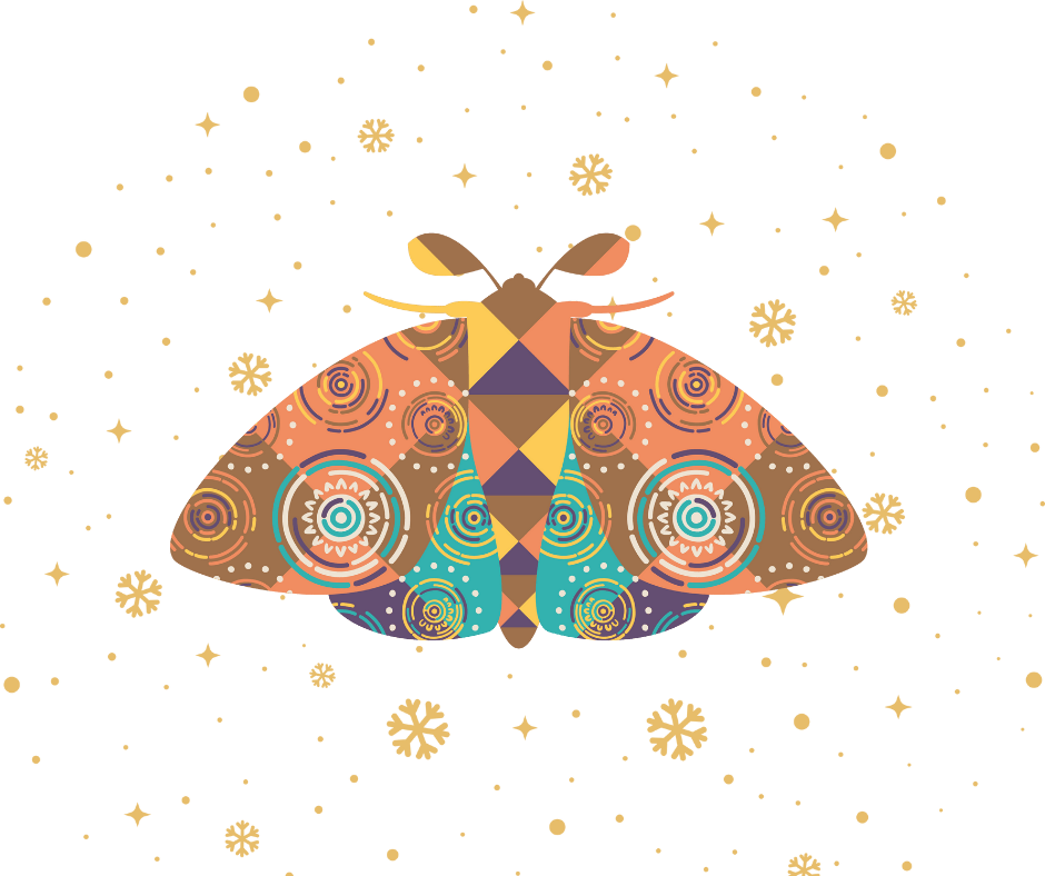 A decorative image of a moth