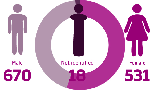 Gender of directors for RNTBCs, 2013–14