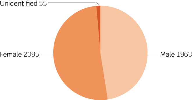Pie chart showing the gender ratio of directors of the top 500 Aboriginal and Torres Strait Islander corporations, 2015–16