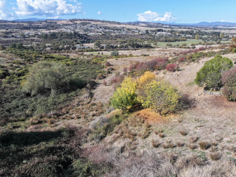 A high view of bushland