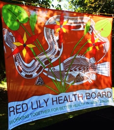 A colourful banner with the words Red Lily Health Board