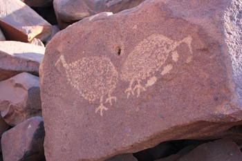 Rock art depicting two birds with eggs