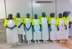 A group of people wearing white clothes, white boots and hair nets