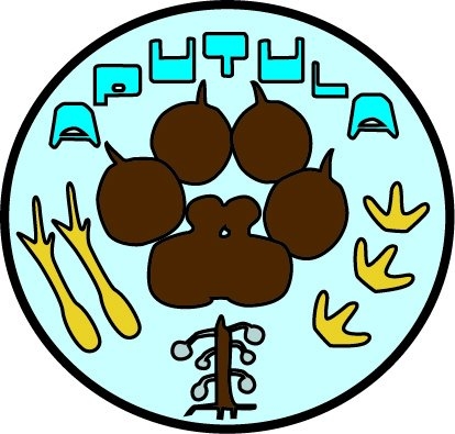 Logo for Aputula Aboriginal Corporation